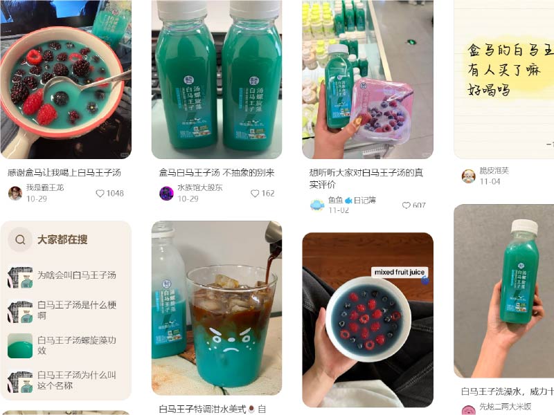 盒马白马王子汤（小红书讨论）