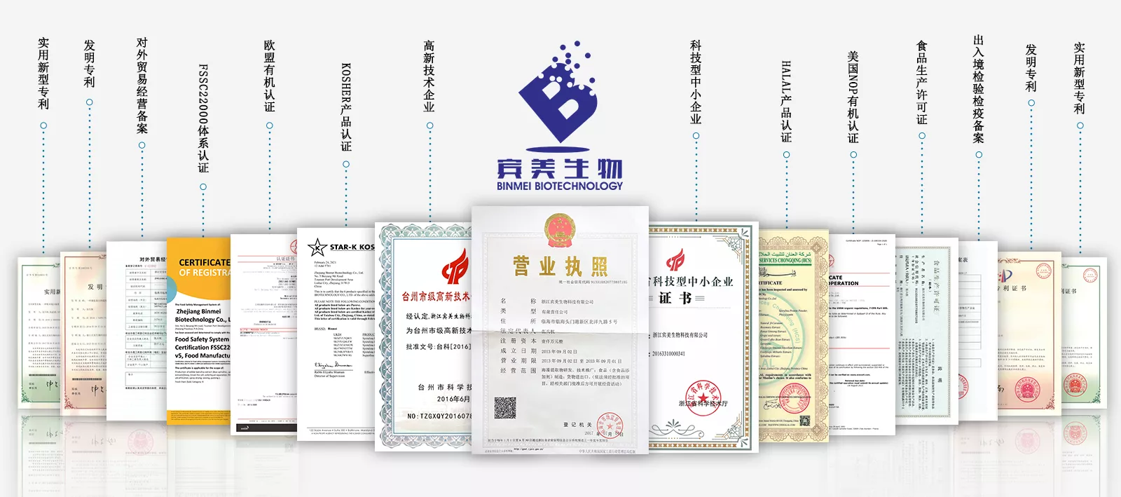 企业荣誉证书